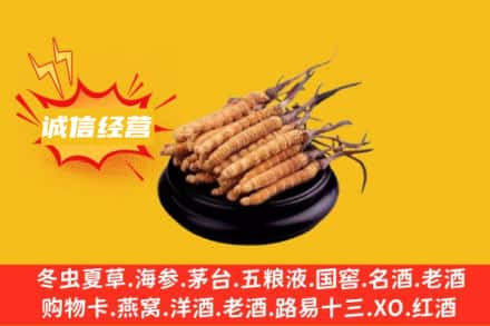 新余回收冬虫夏草